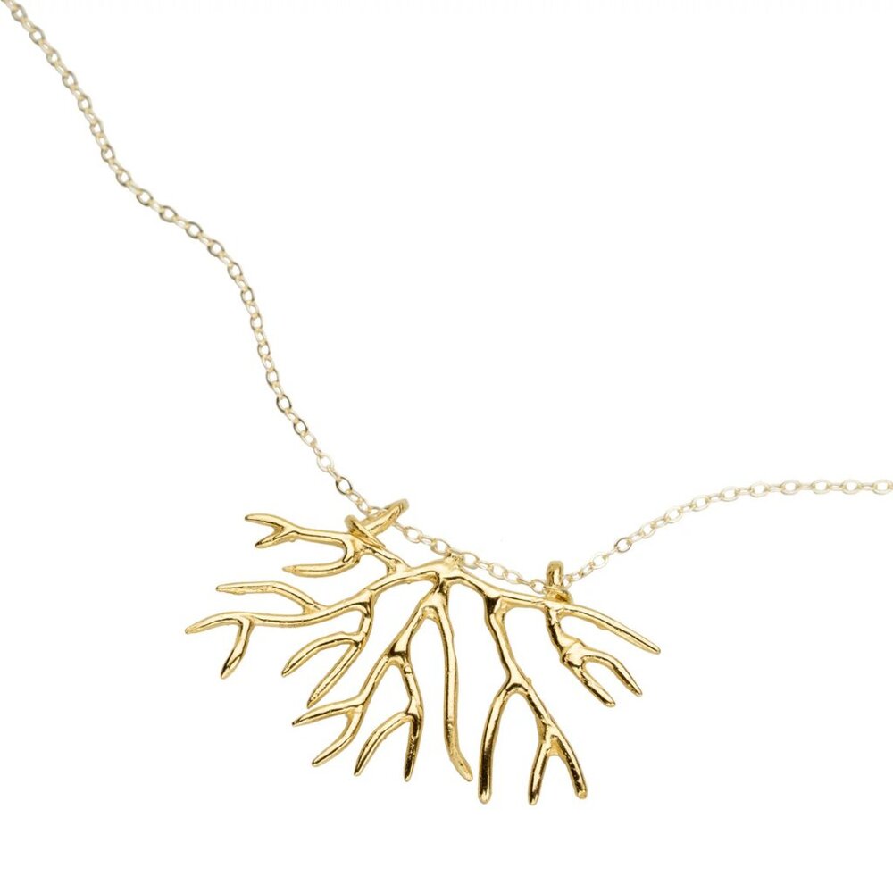 Tuning Fork Bryozoan Necklace - Gold - Picture 10 of 14